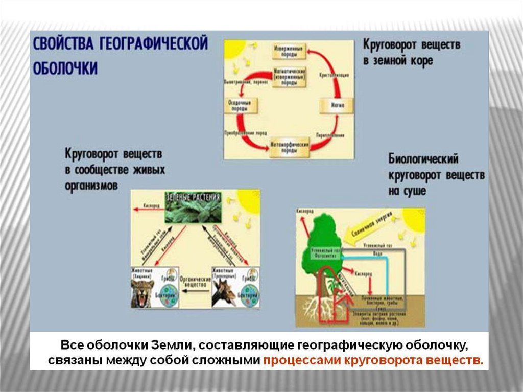 Свойства географической оболочки схема