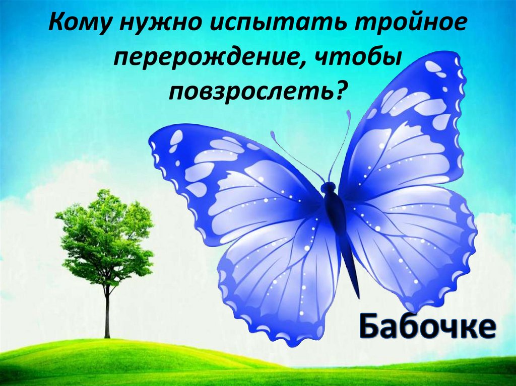 Кому нужно испытать тройное перерождение, чтобы повзрослеть?