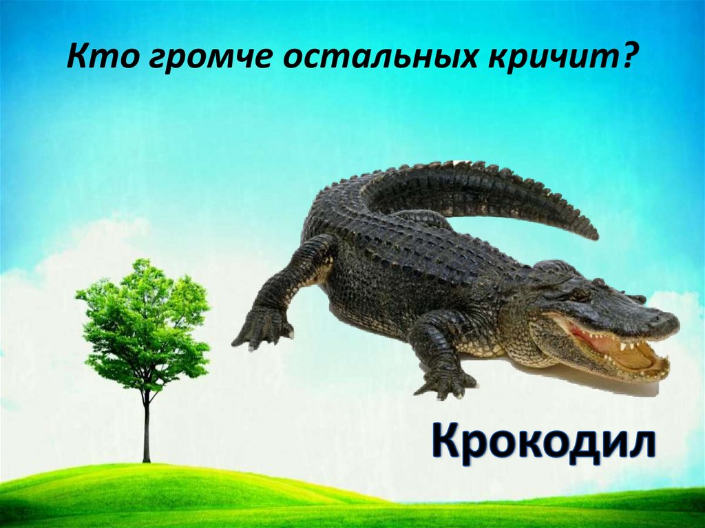 Кто громче остальных кричит?