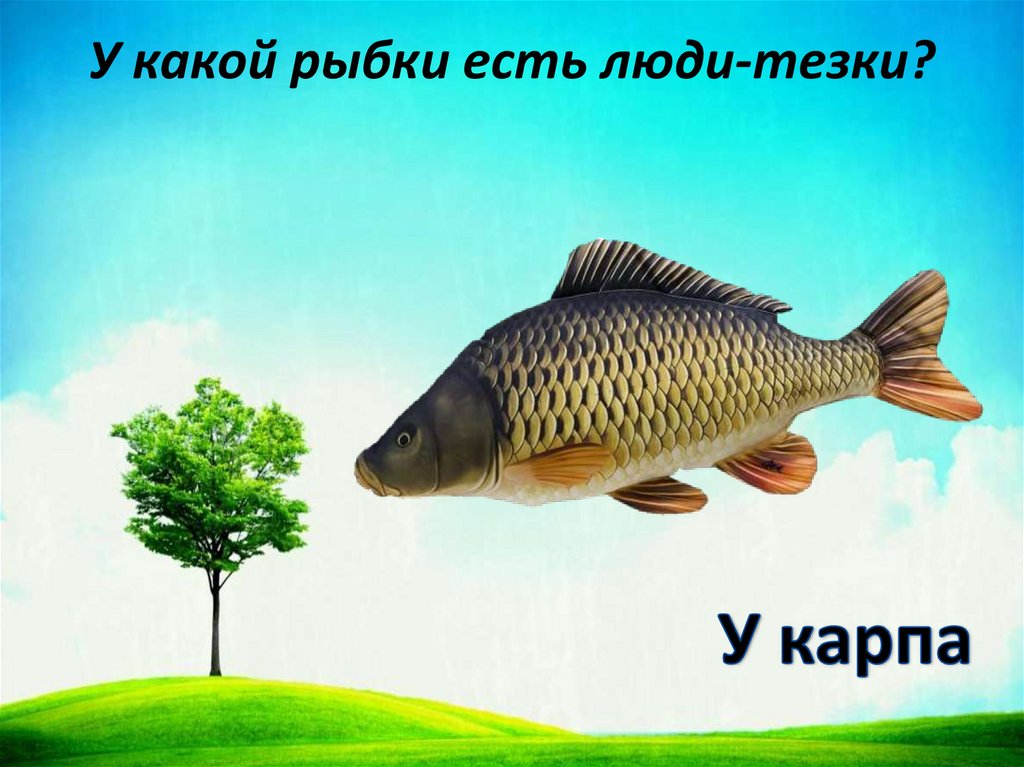 У какой рыбки есть люди-тезки?