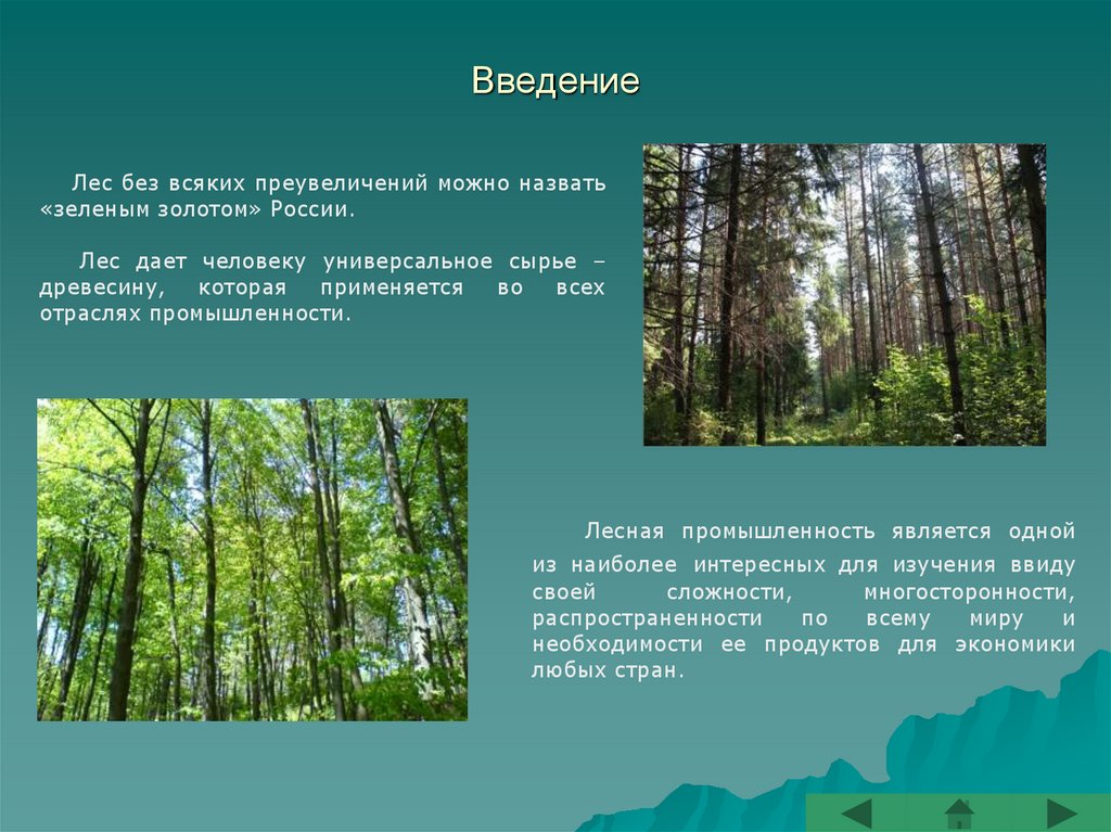 Лесная промышленность презентация 10 класс. Лесная промышленность. Промышленность России леса. Охрана природы в Лесной и деревообрабатывающей. Охрана природы в Лесной промышленности.