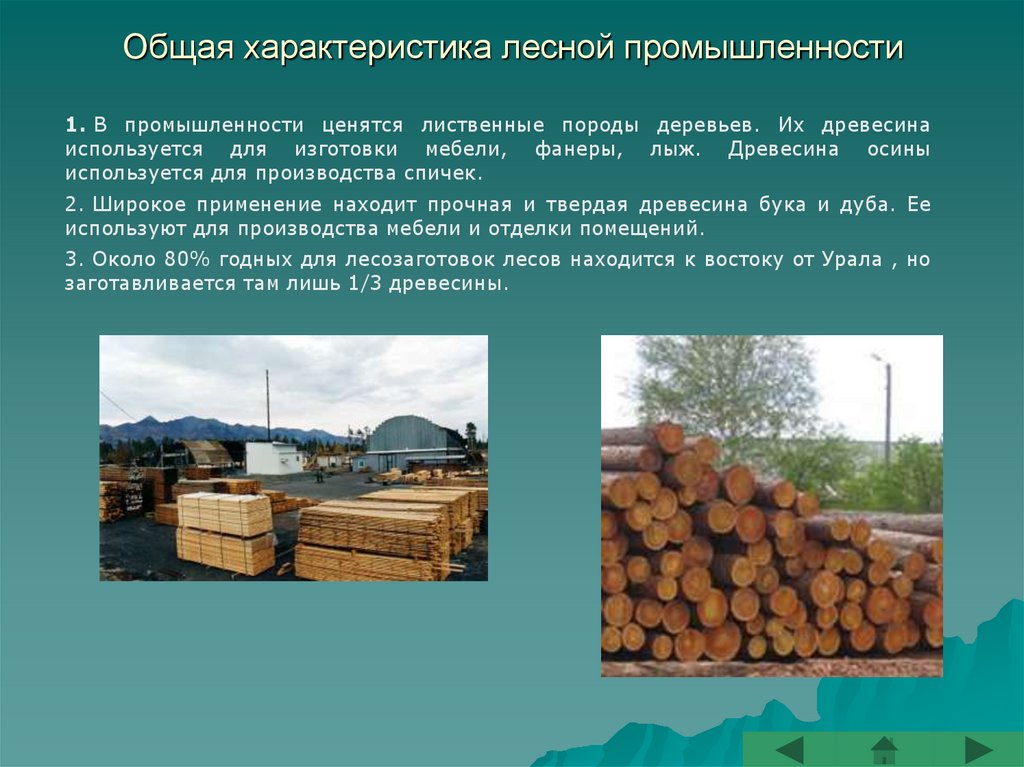 Производство п лесной. Лесная, деревообрабатывающая и целлюлозно-бумажная промышленность. Отрасли Лесной и деревообрабатывающей промышленности. Лесная и Лесоперерабатывающая отрасли. Характеристика леснойпромышлннносьи.