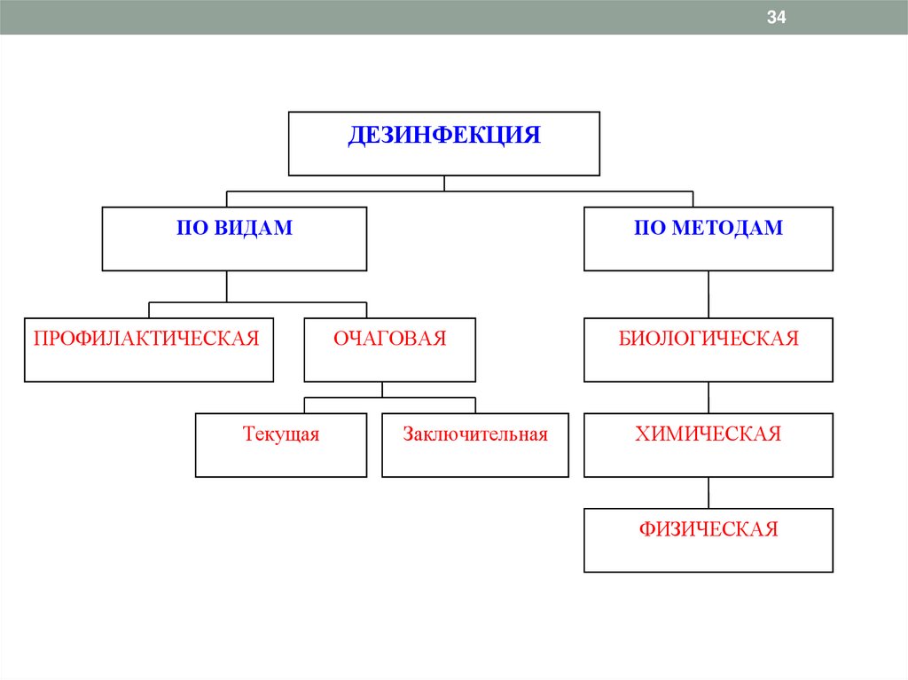 Схема виды дезинфекции