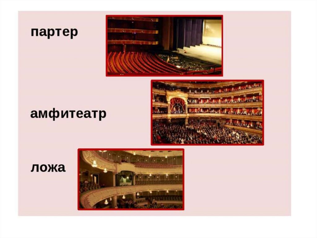 Нижние места в театре