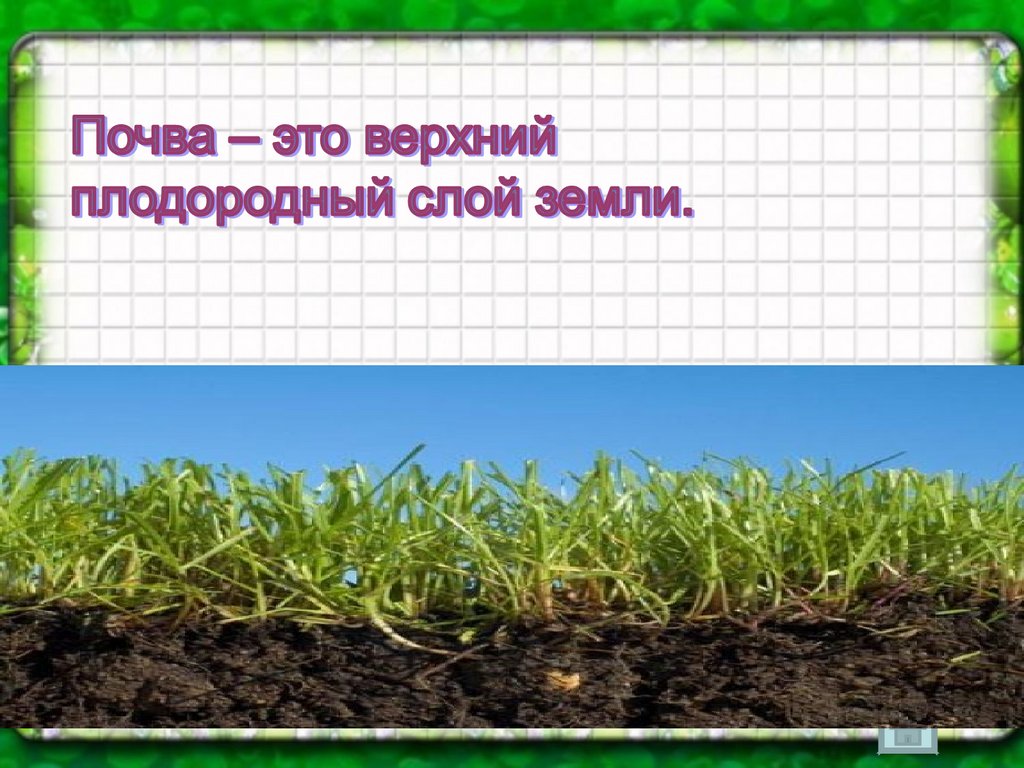 Плодородие это свойство почвы которое. Основное свойство почвы плодородие. Почва презентация. Плодородие почвы это 3 класс. Плодородие почвы презентация.