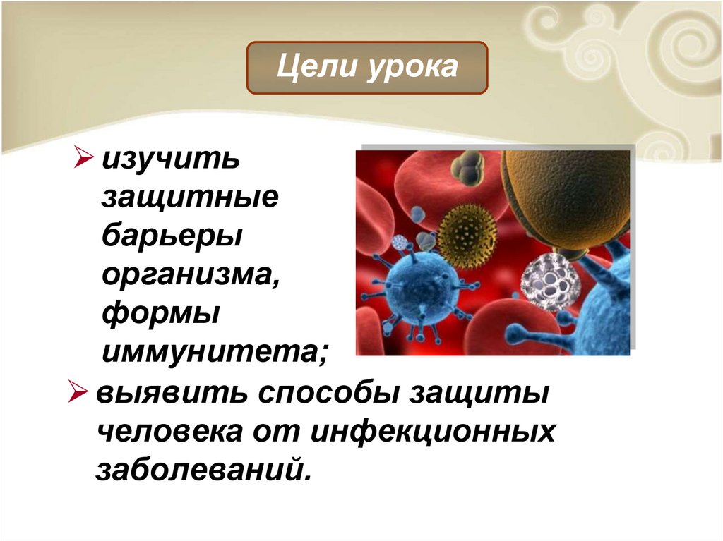 Презентация биология иммунитет 8 класс биология