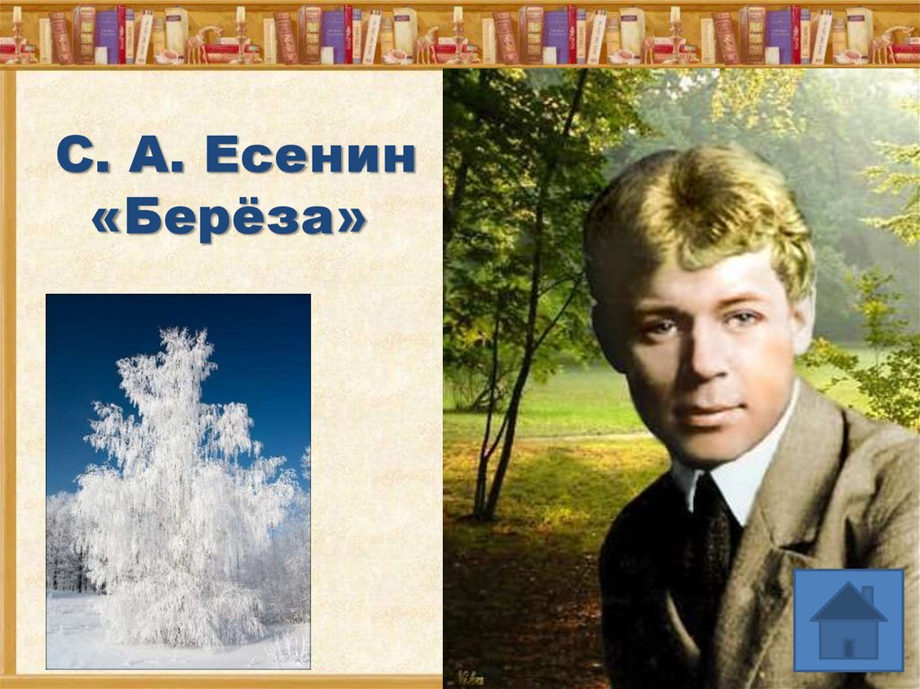 Есенин про березу белую. Сергей Есенин береза. Береза Есенина. Сергей Есенин белая береза. Березка Есенин.