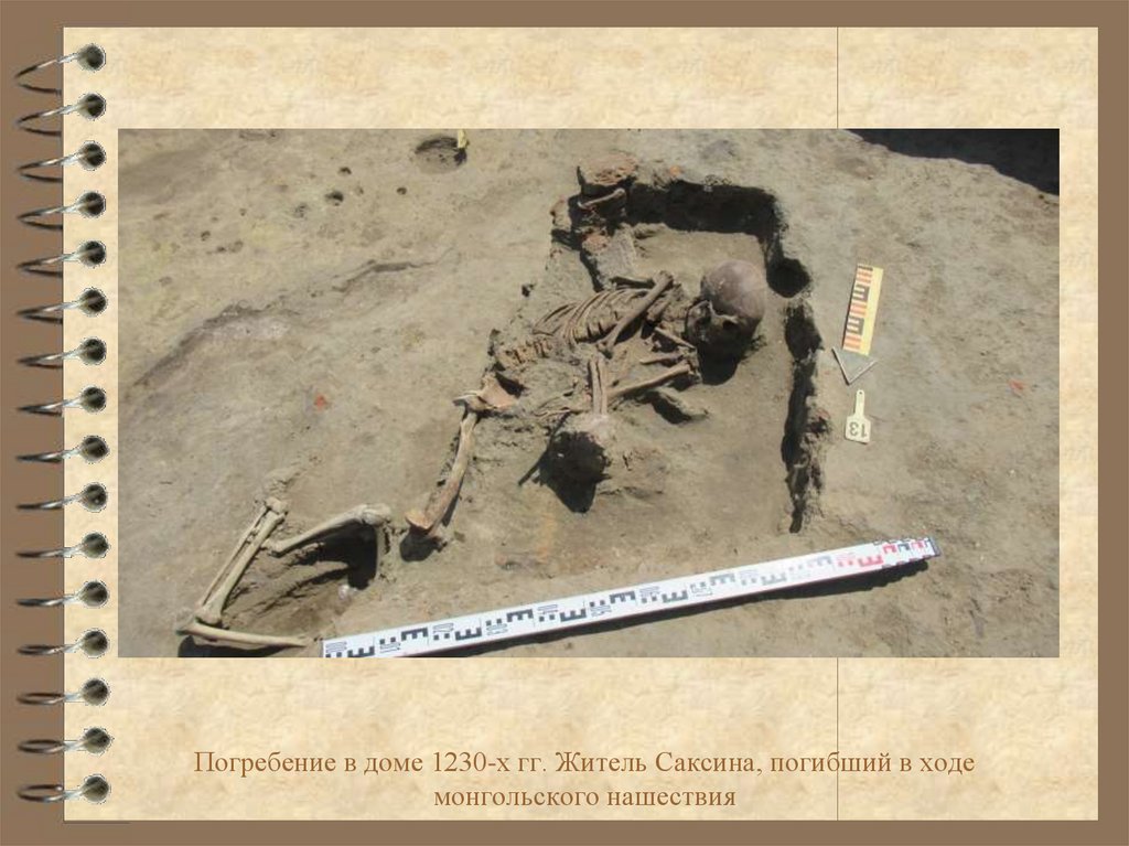 Погребение в доме 1230-х гг. Житель Саксина, погибший в ходе монгольского нашествия