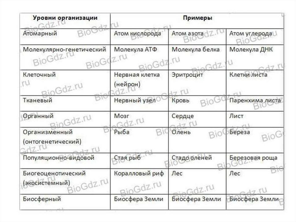 Уровни биология 10 класс. Уровни организации жизни биология таблица. Уровни организации живой природы ЕГЭ таблица. Таблица по биологии уровни организации живых систем. Уровни организации живой природы таблица 11 класс.