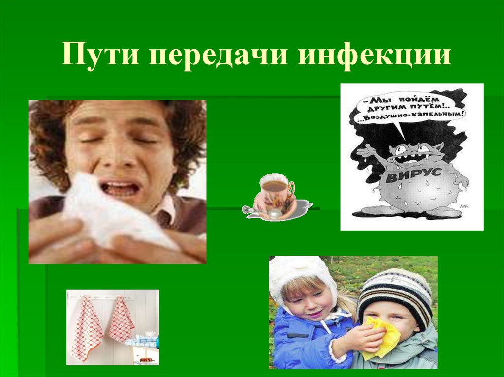 Пути передачи инфекции