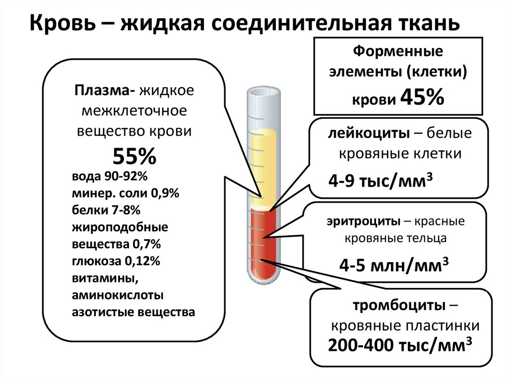 Жидкая соединительная