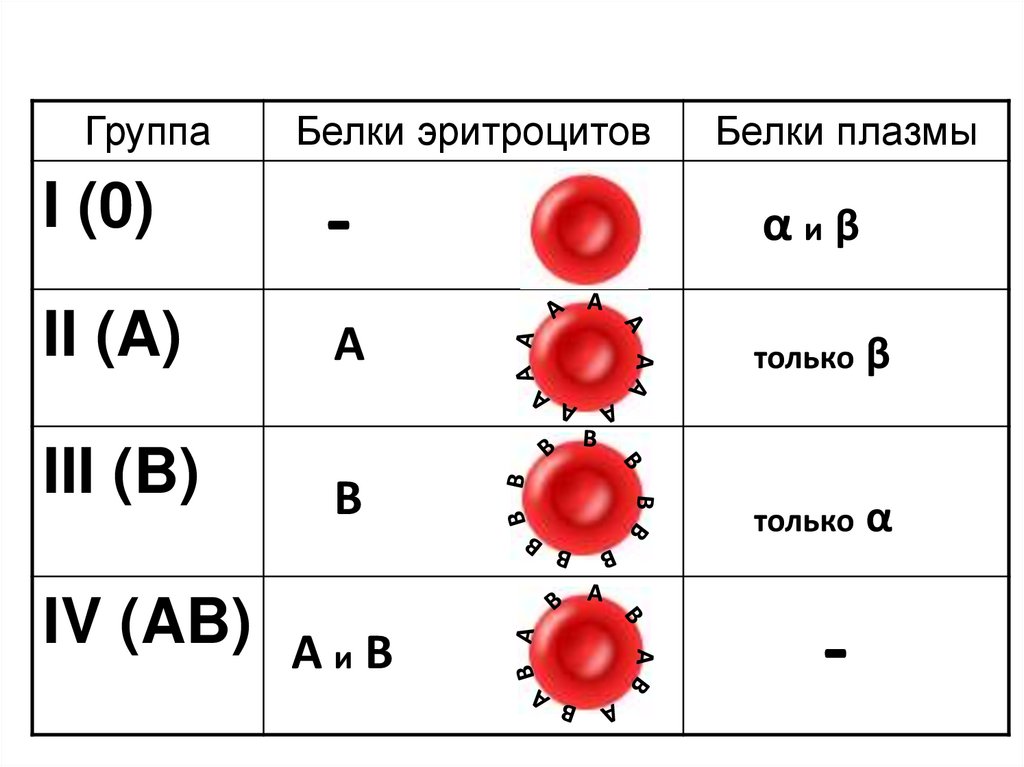 Сколько бывает