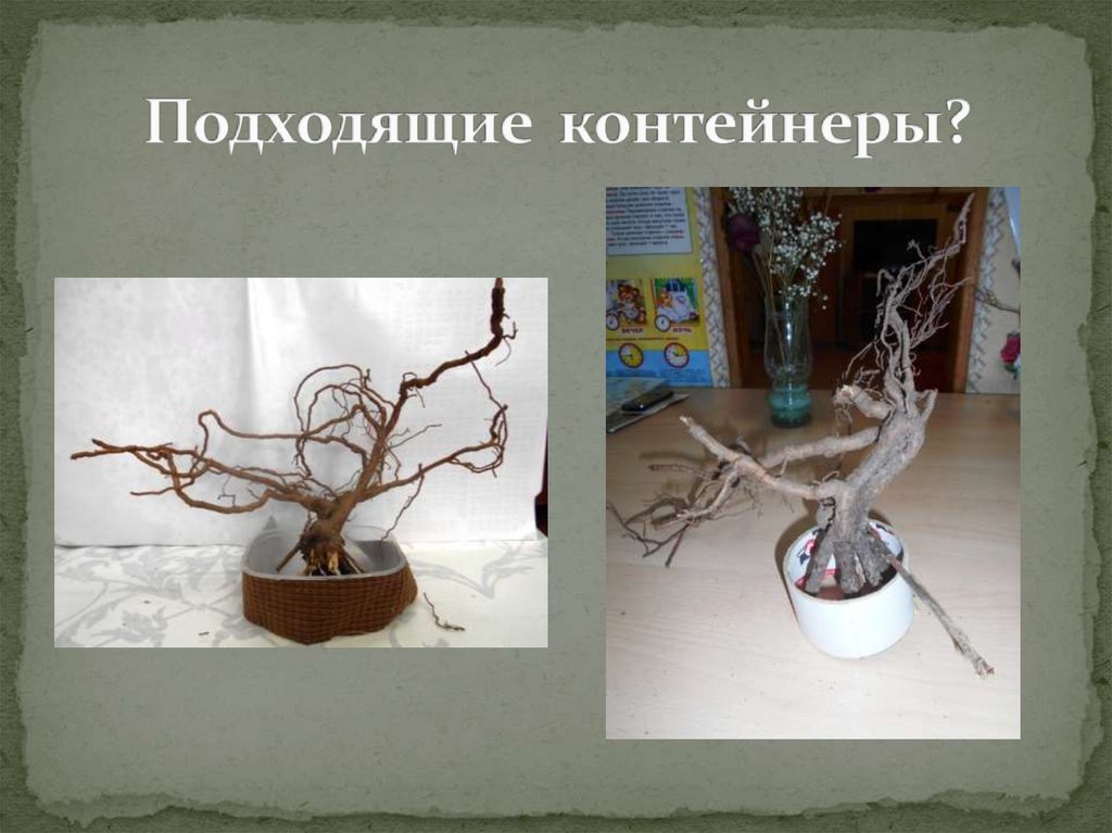 Подходящие контейнеры?