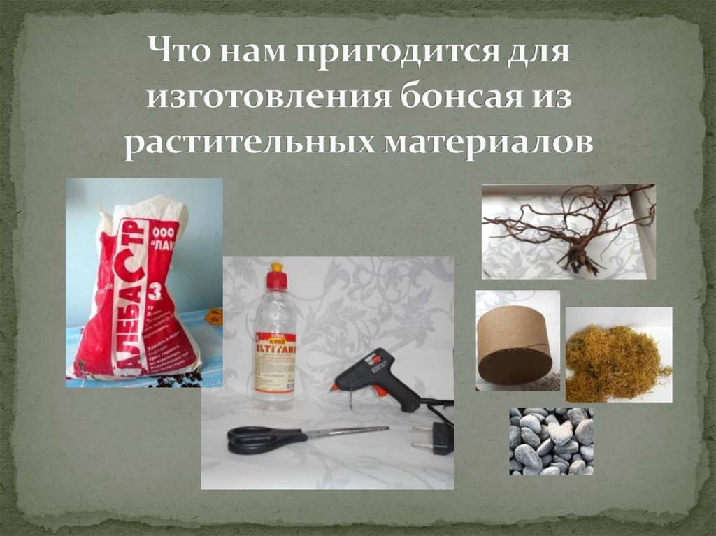 Что нам пригодится для изготовления бонсая из растительных материалов