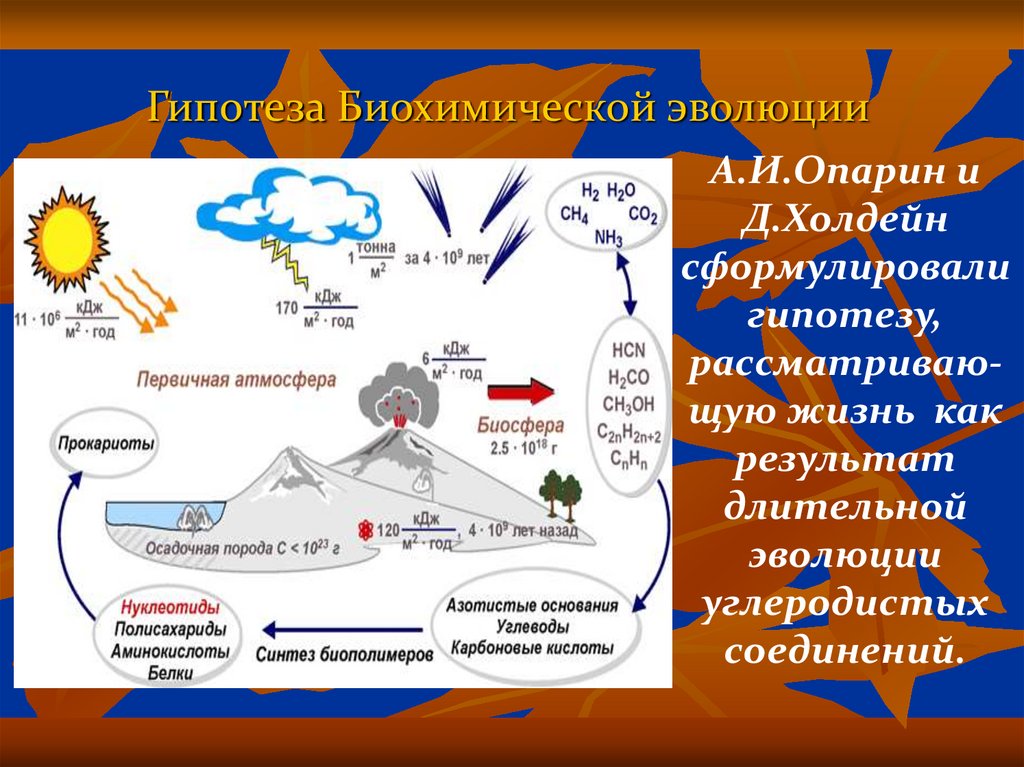 Этапы зарождения жизни опарина первичный бульон