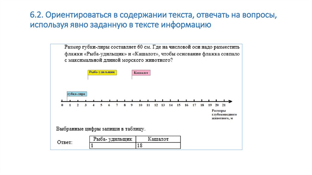 Постройте вопросы используя