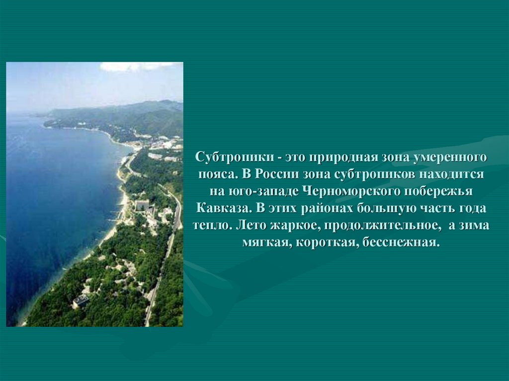 Черноморское побережье кавказа и южный берег крыма. Субтропики Черноморского побережья Кавказа. Зона субтропиков Черноморское побережье. Влажные субтропики России. Черноморское побережье. Субтропическая зона доклад.