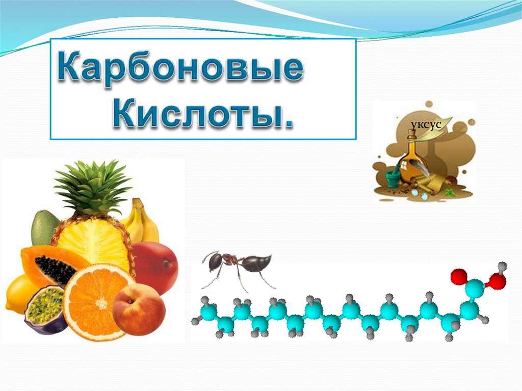 Проект карбоновые кислоты