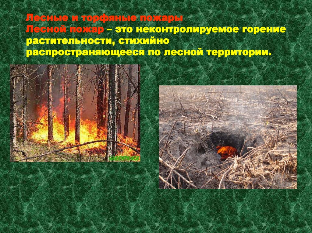 Лесные и торфяные пожары Лесной пожар – это неконтролируемое горение растительности, стихийно распространяющееся по лесной