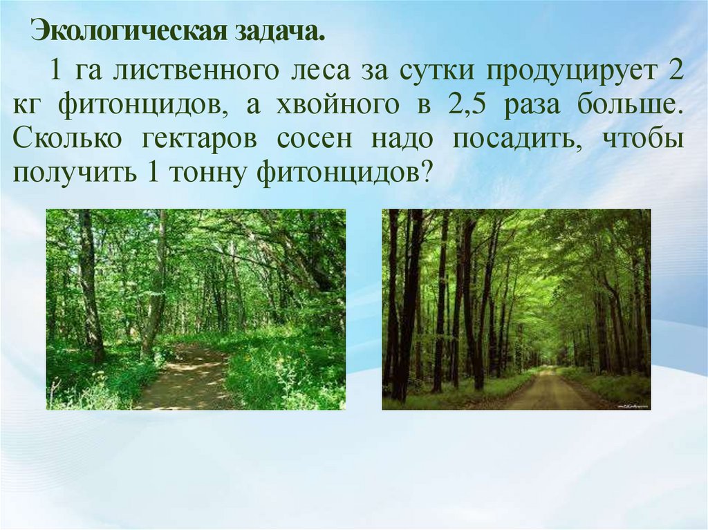 Решить задачу в лесу на разных кустах