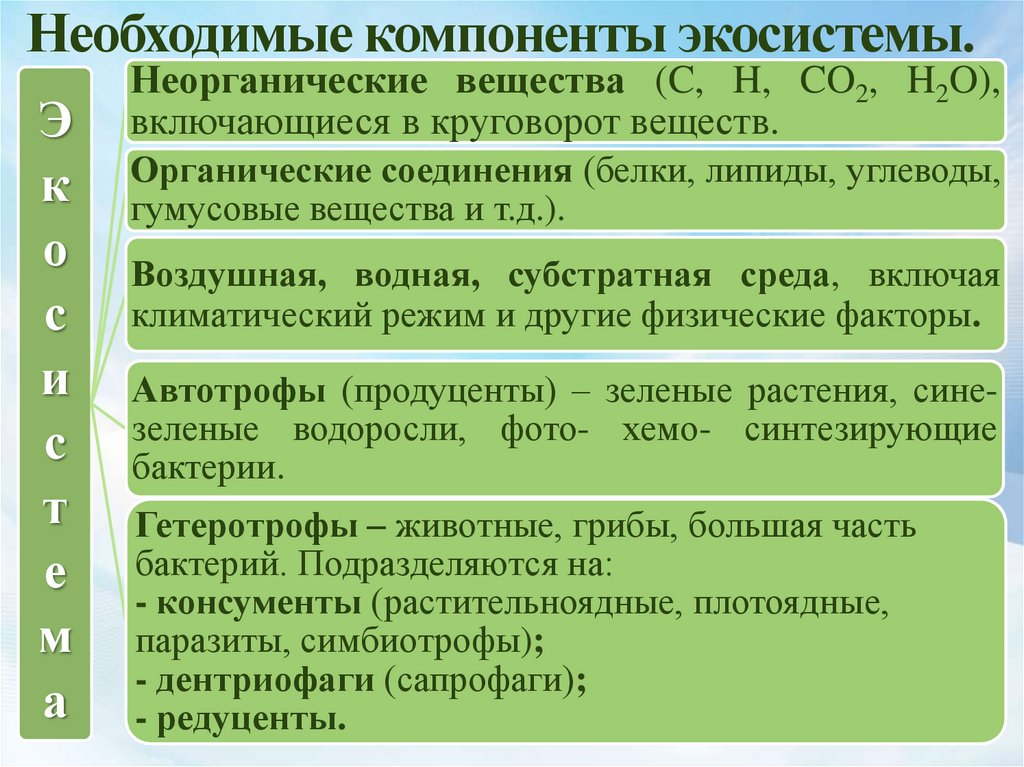 Основные компоненты биогеоценоза текст. Необходимые компоненты экосистемы. 4 Необходимых компонента экосистемы. Компоненты биогеоценоза. Необходимые компоненты экосистемы таблица.