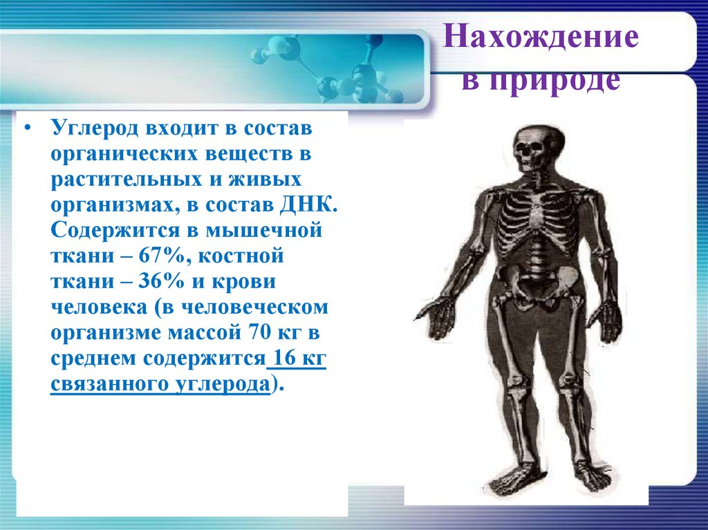 Проект на тему углерод в моем организме