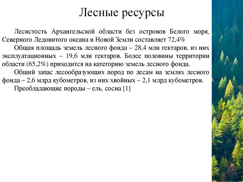 Лесные ресурсы