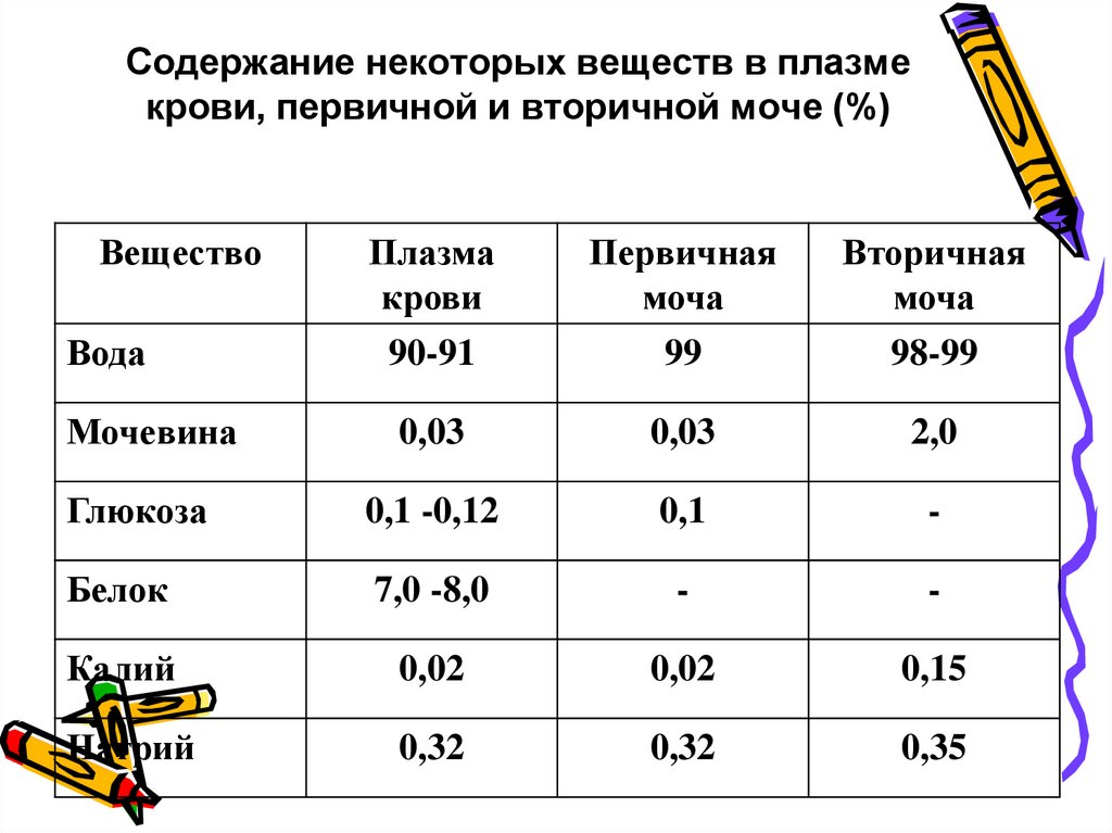 Содержание мочи. Изучите состав первичной и вторичной мочи. Анализ состава первичной и вторичной мочи. Содержание веществ в плазме крови и моче. Объем и состав первичной мочи..