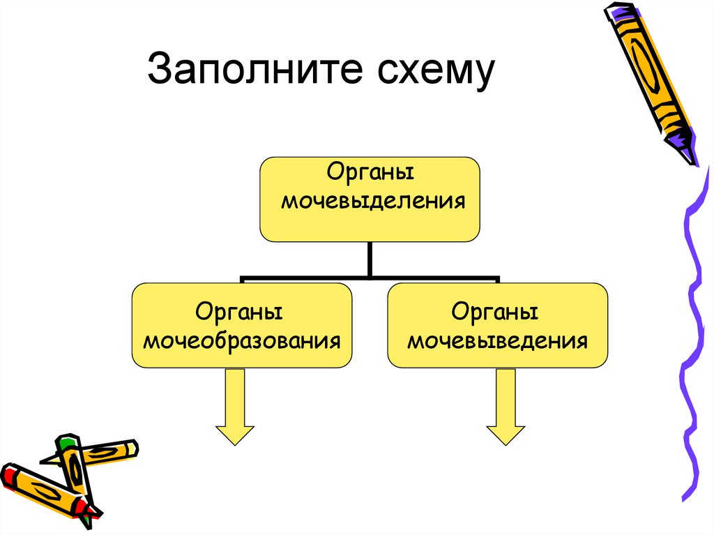 Заполни схему как люди узнают о прошлом