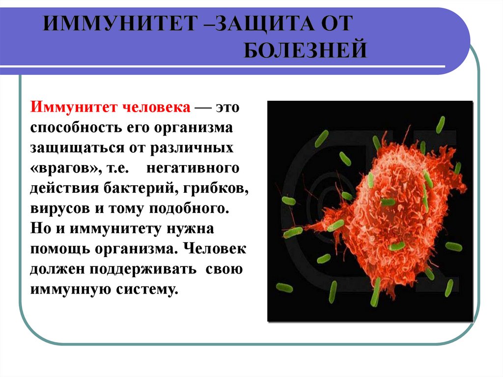 Виды иммунитета презентация