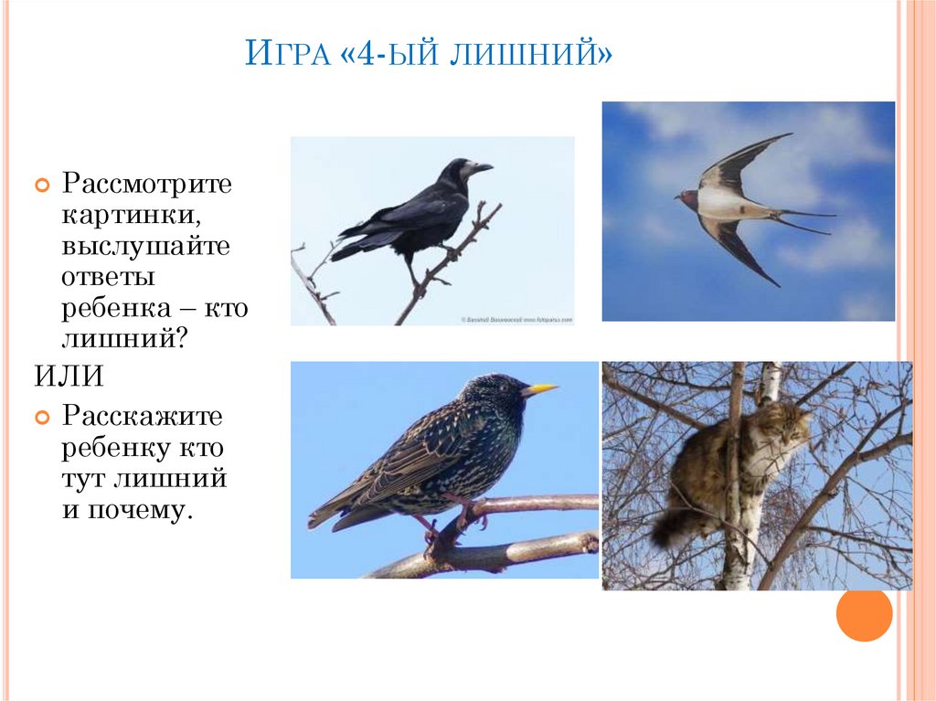 Игра «4-ый лишний»