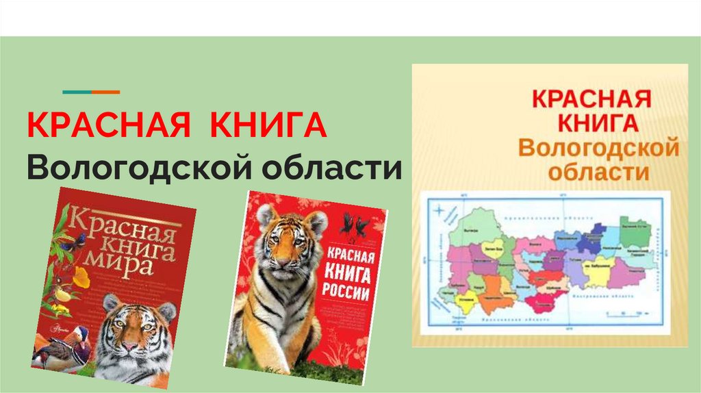 Красная книга вологодской области презентация