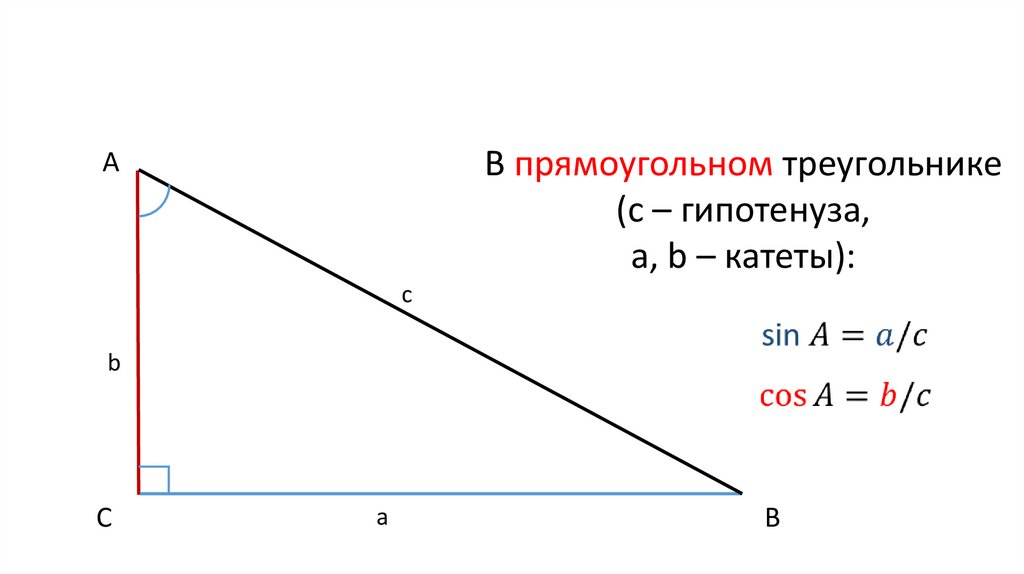 Экспонента через синус и косинус. Тригонометрические функции в прямоугольном треугольнике 8 класс