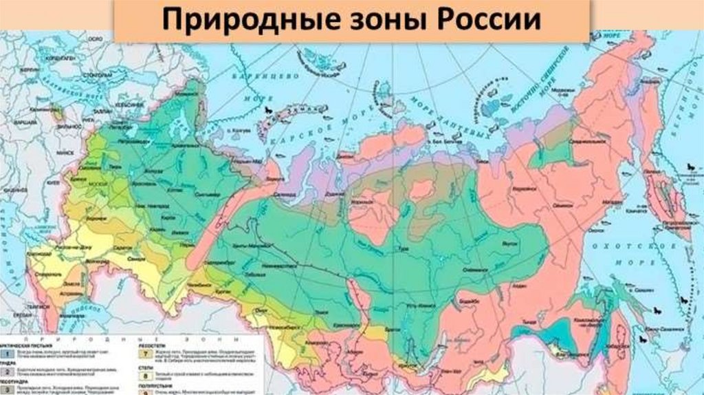 Какая природная зона является переходной. Природные зоны России. Карта природных зон. Карта природных зон России. Природные зоны зоны Росси.