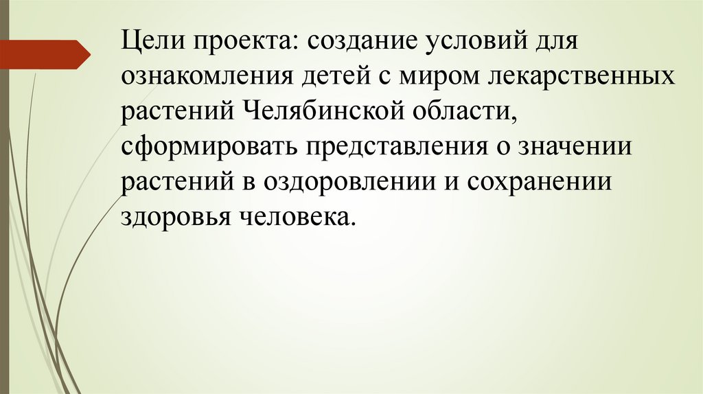 Лекарственные растения Челябинской области Работу выполнил Ученик 2 - б класса М