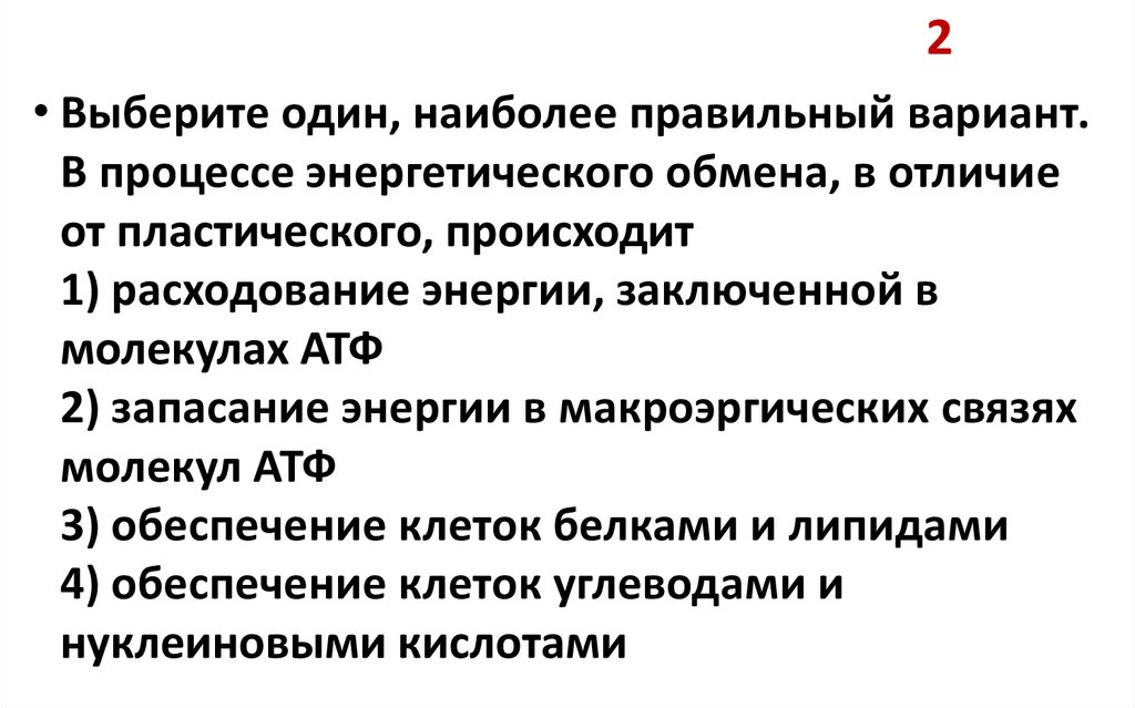 Раскройте связь между пластическим и энергетическим обменами