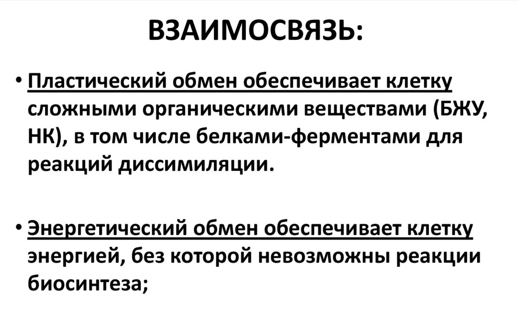 Раскройте связь между пластическим и энергетическим обменами