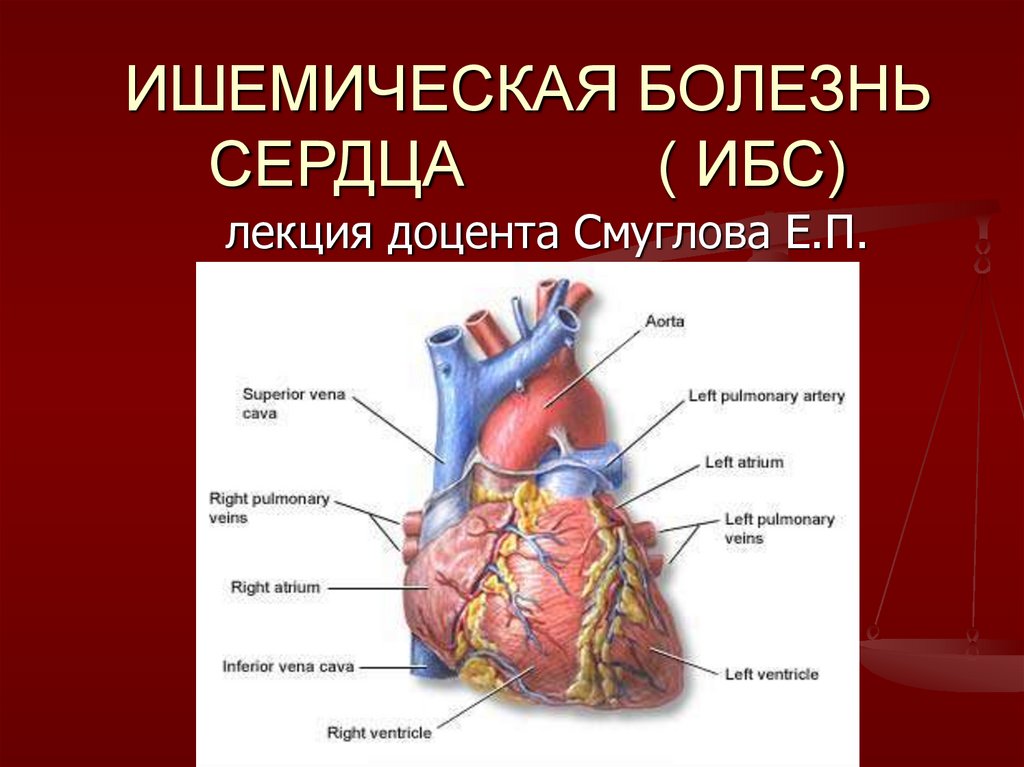 Ишемия передней стенки. Ишемическая болезнь сердца. Ишемическая болезнь сердца картинки. Ишемическая болезнь сердца (ИБС).