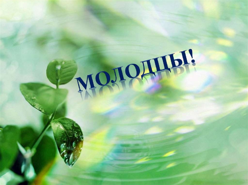 МОЛОДЦЫ!