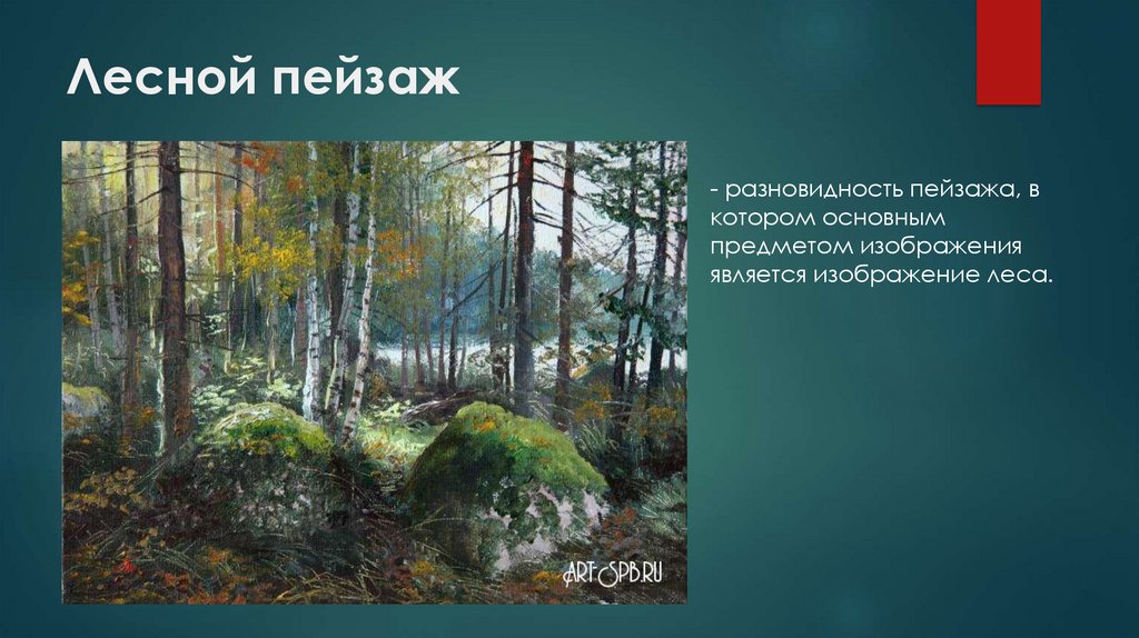 Лесной пейзаж