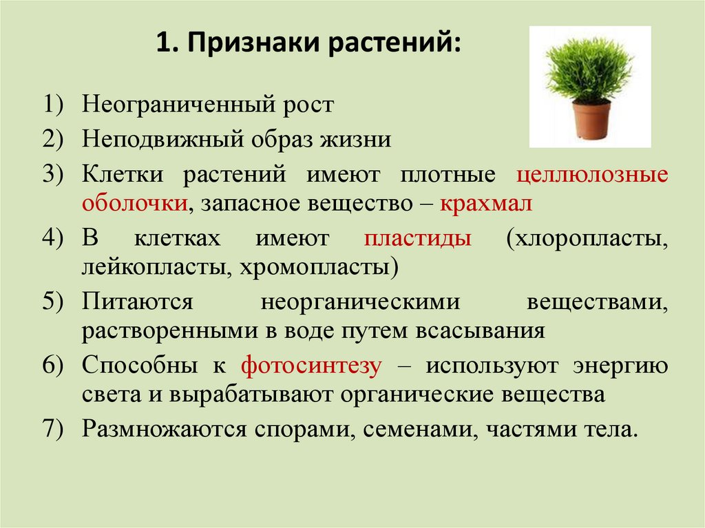 Отличающие признаки растений