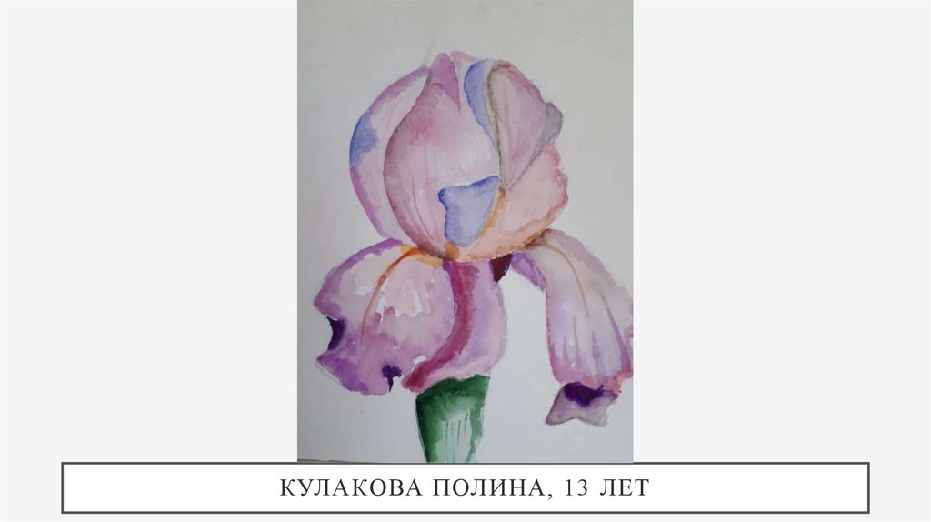 Кулакова полина, 13 лет