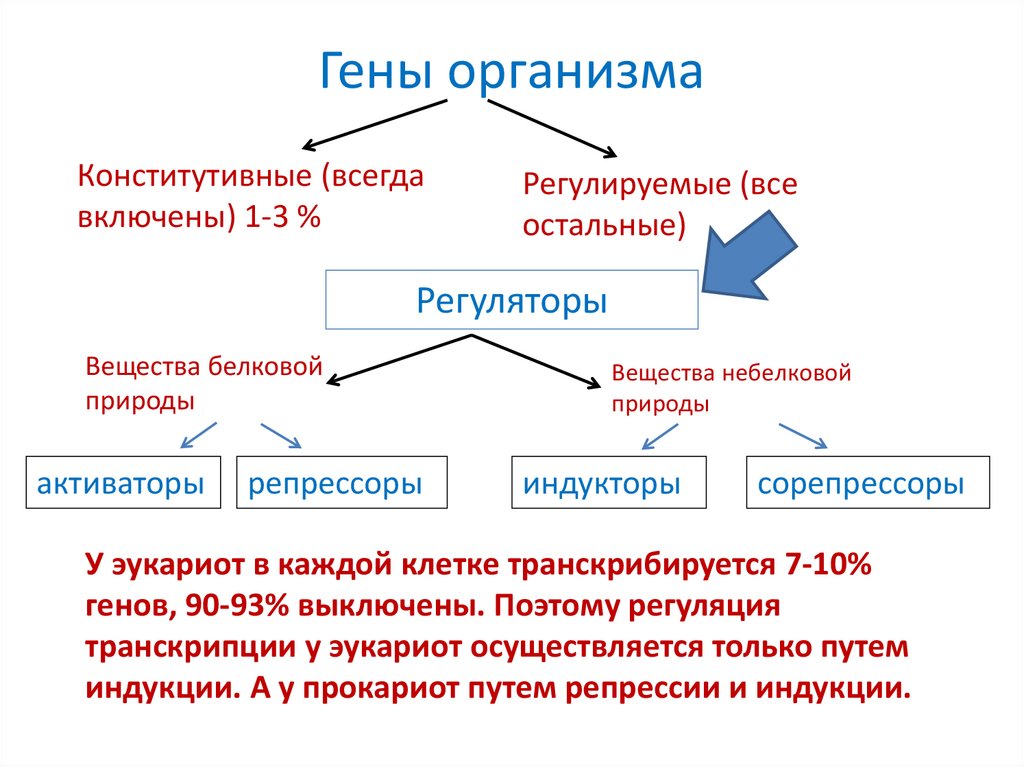 Совокупность генов определенного организма это