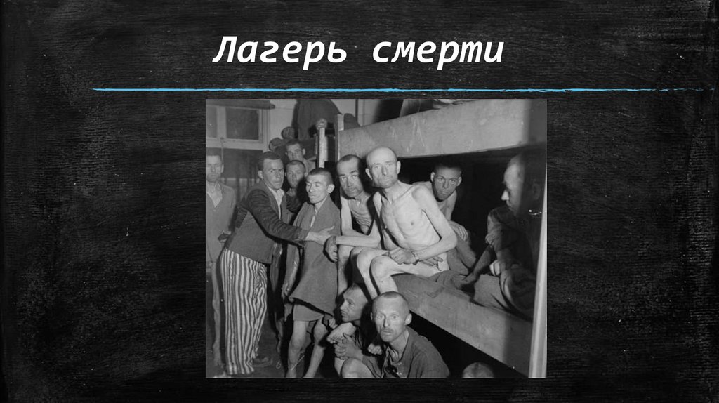 Холокост - презентация онлайн