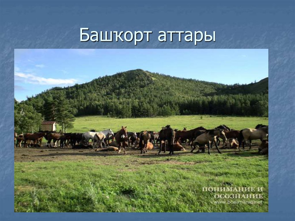 Башҡорт аттары