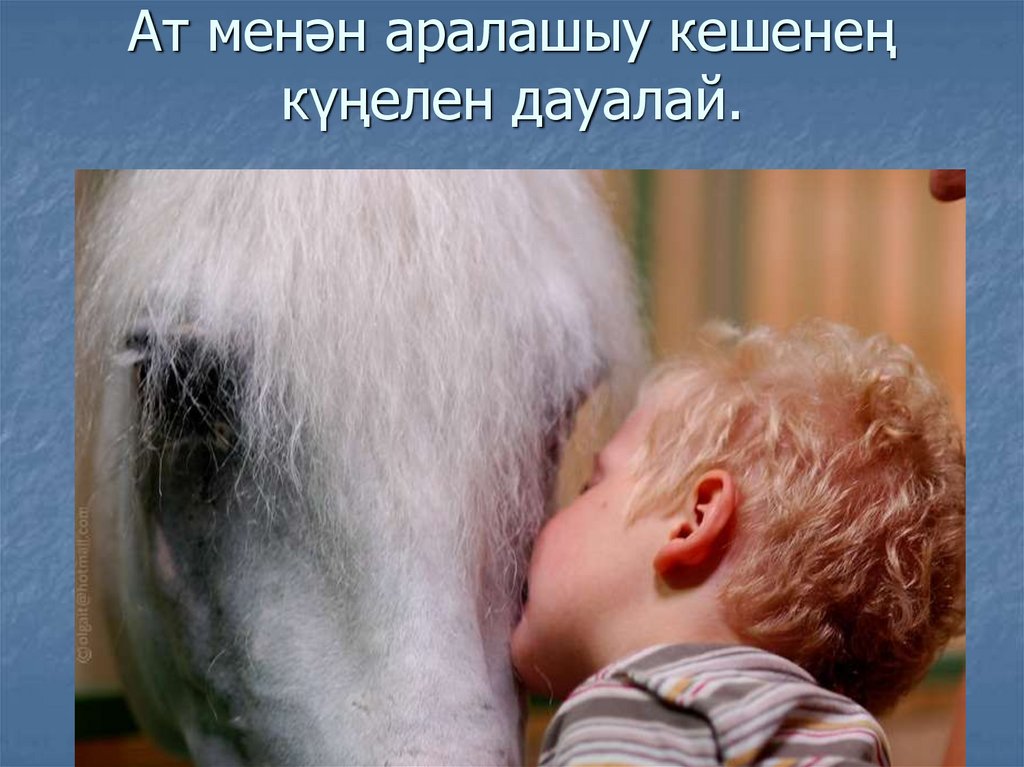 Ат менән аралашыу кешенең күңелен дауалай.