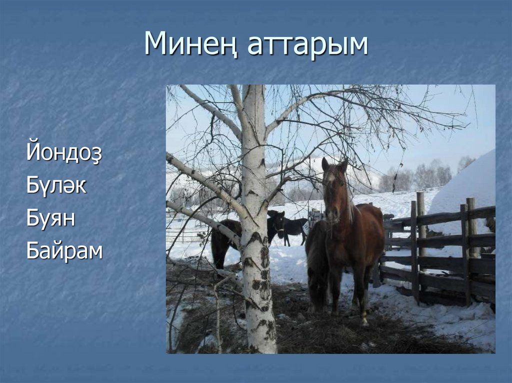 Минең аттарым