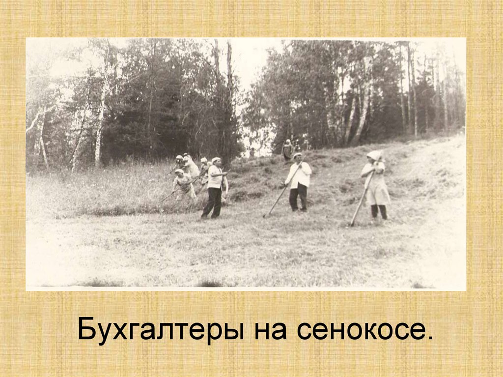 Бухгалтеры на сенокосе.