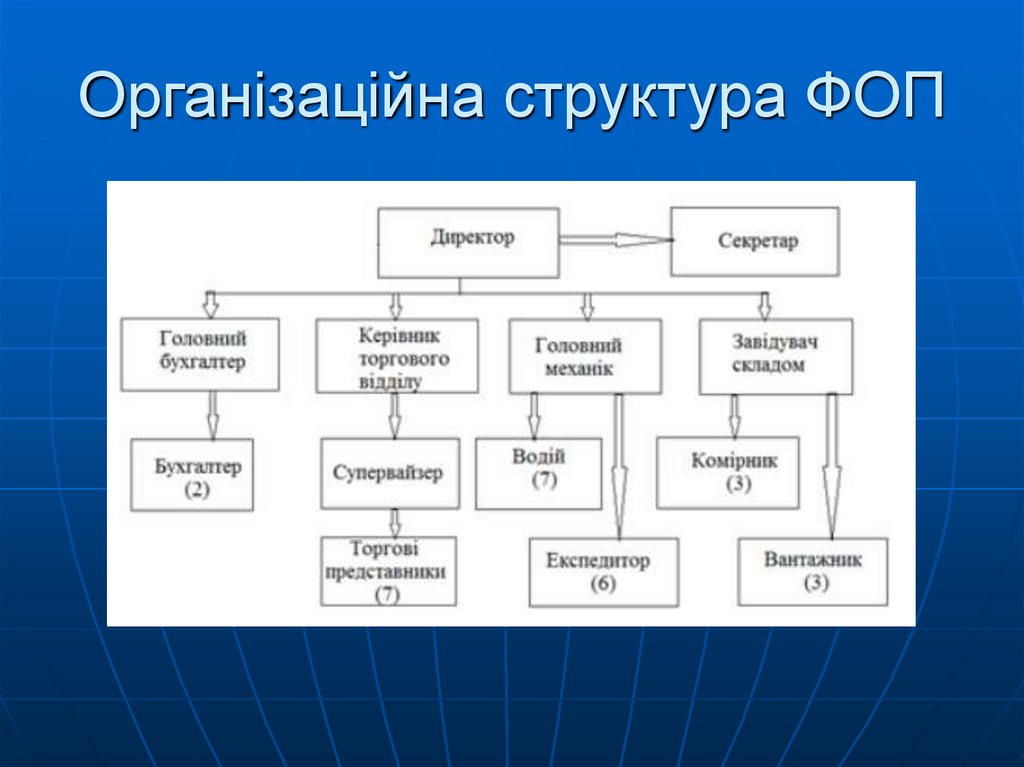 Організаційна структура ФОП