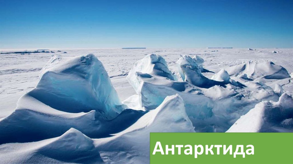 Антарктида